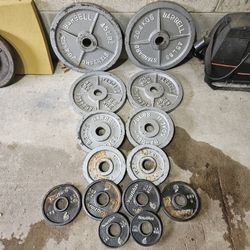 255lbs Olympic 2" weights