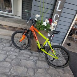 Pedal Bike For Sale
