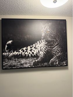 Leopard Framed Canvas Wall Art – 40” x 30”