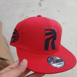Raptors Hat 