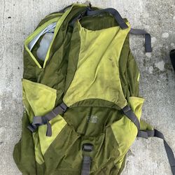 Green hiking climbing platypus