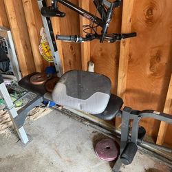 Weight Bench 