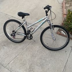 Schwinn bicycle tires for sale sale
