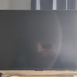 Insignia Smart TV 43"