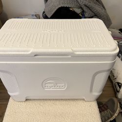 Igloo Small Cooler