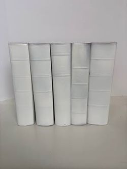Set of 5 White Painted Books for Staging & Styling | Multiple Sets Available | Sizes May Vary