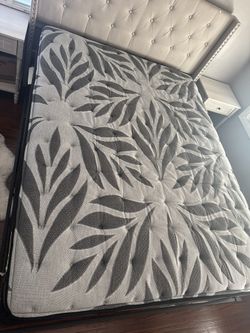 Sealy Queen Ultra Firm Mattress + Box Foundation – Almost NEW – $750 + $50 Box Spring