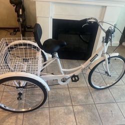 Adult tricycle