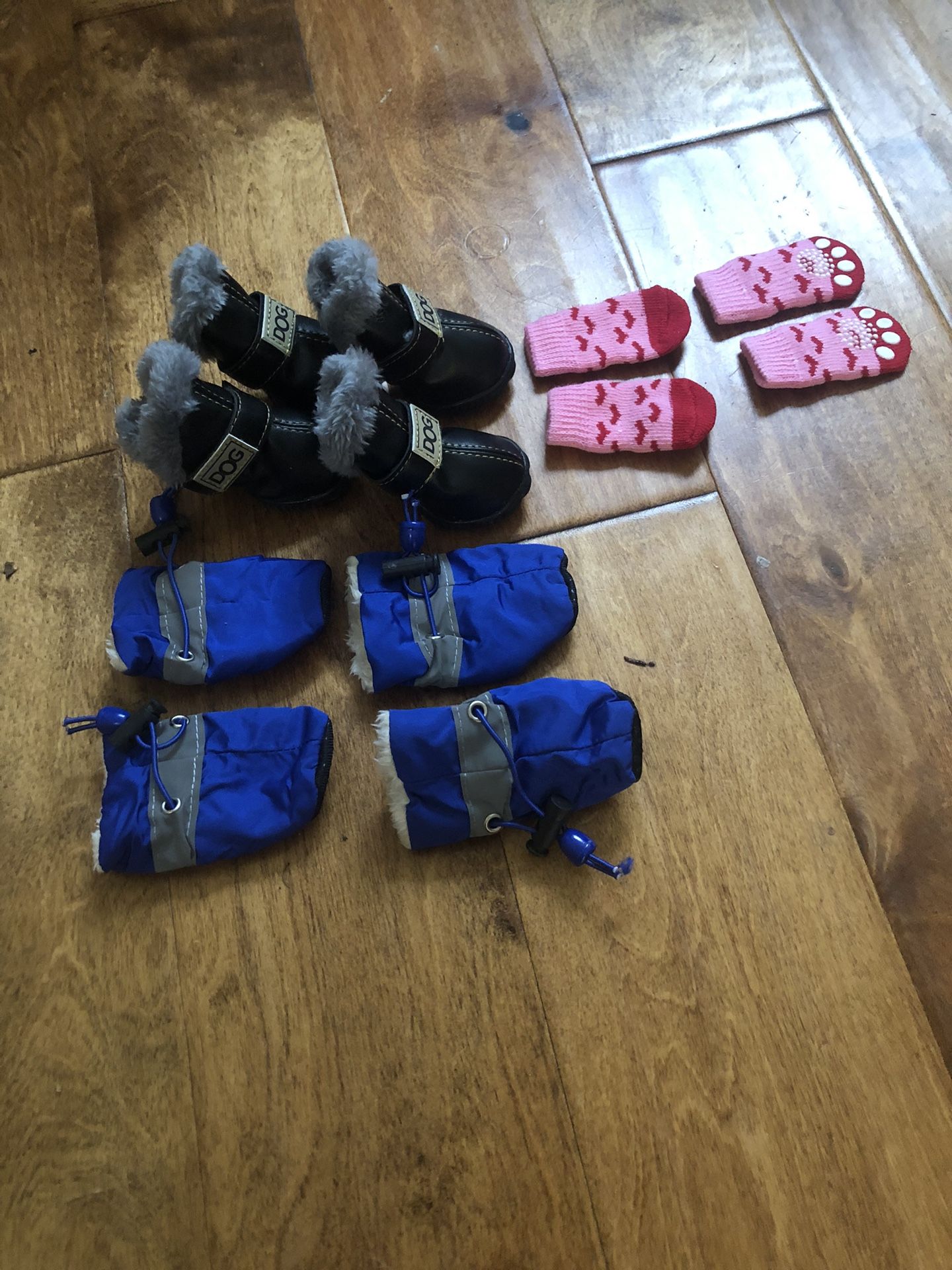 Dog Shoes