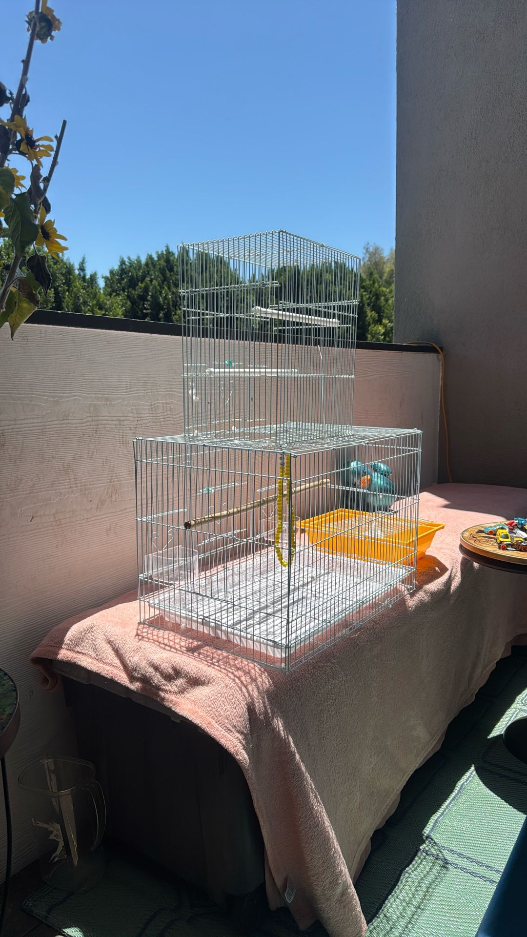 Bird Cage