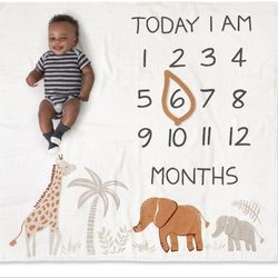 Baby Milestone Blanket and Frame Set 2 pieces 