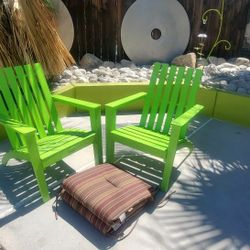 2 Chairs & 2 Cushions - Palm Springs 