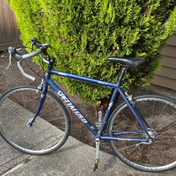 Allez Specialized Road Bike
