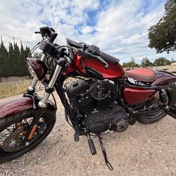 Custom 2013 HD sportster forty eight