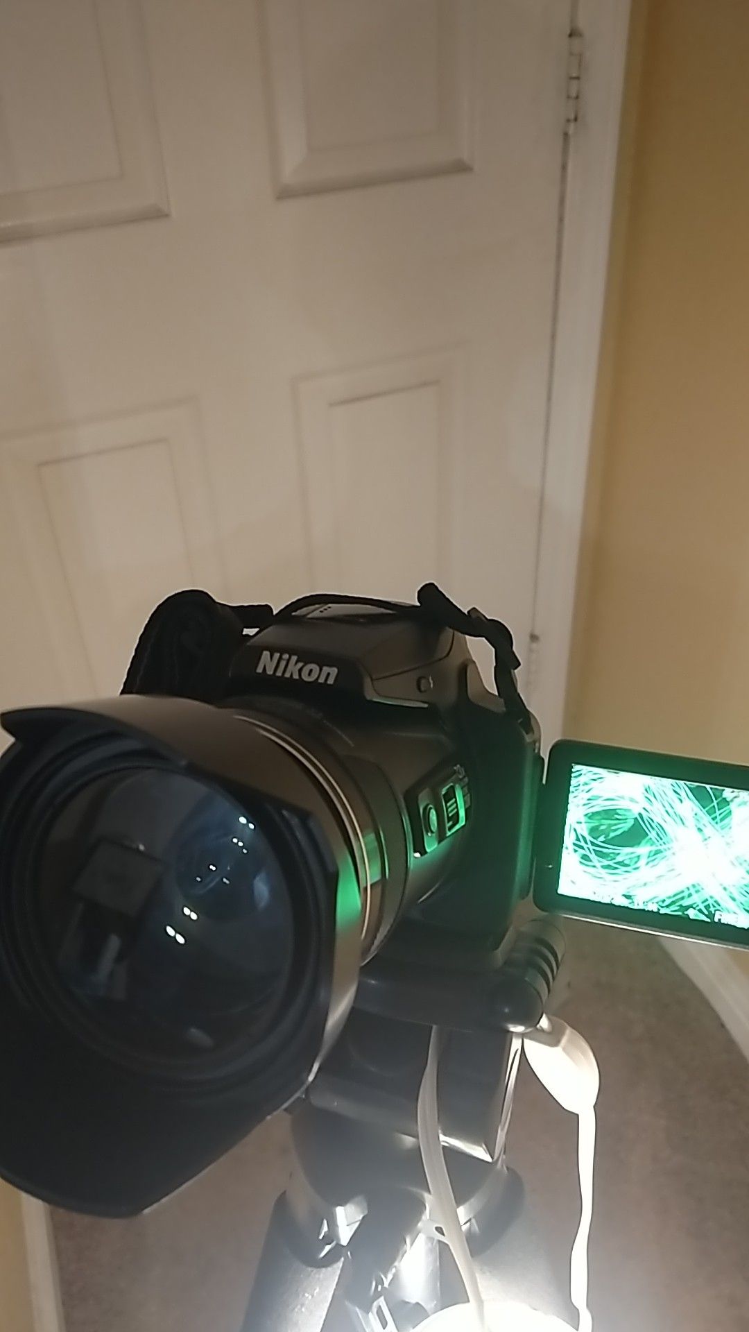 FREE photography (litterally)