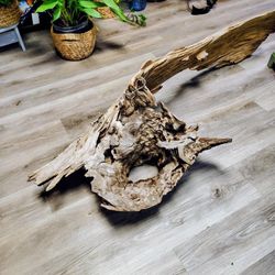 Driftwood