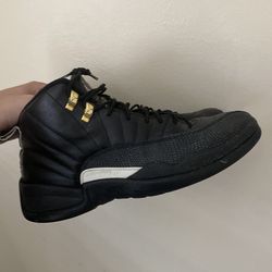 Jordan master 12s