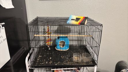 Bird cage
