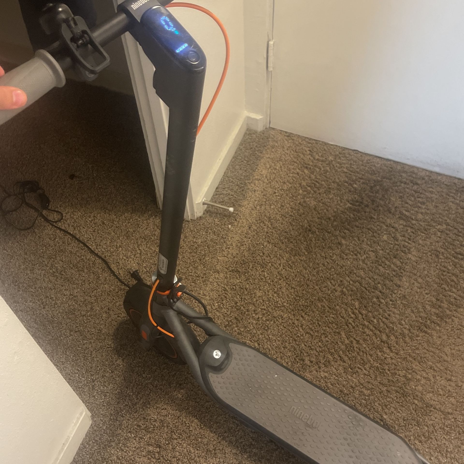 Segway Scooter