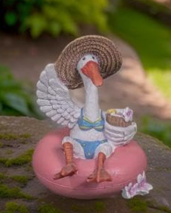 Pelican Enjoying Her Life