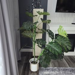 4 IKEA Lamps And  Artificial Plant