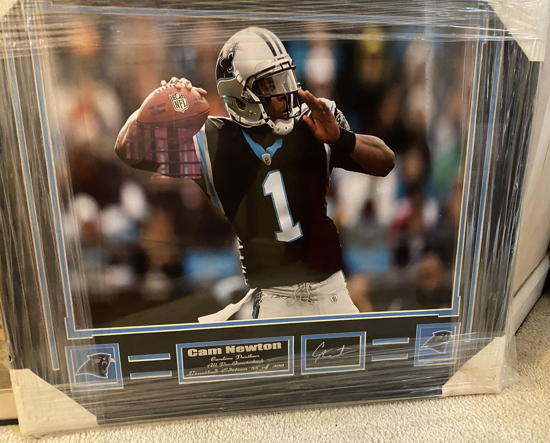 CAM NEWTON MEMORABILIA
