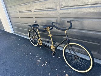 Double rider bike