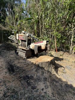 Stump Grinding