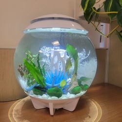 Biorb Halo Fish Tank Set - 8 Gallon