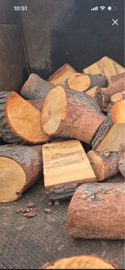 Fire wood free eucalyptus (leña gratis de eucalypto)