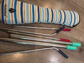 New~~Manna Reusable Stainless Steel Straws with Case