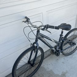 Trek mountain bike