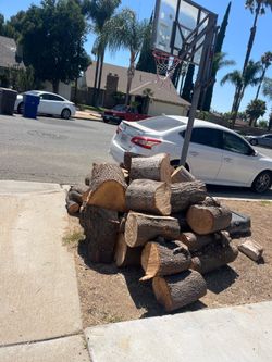 Free firewood