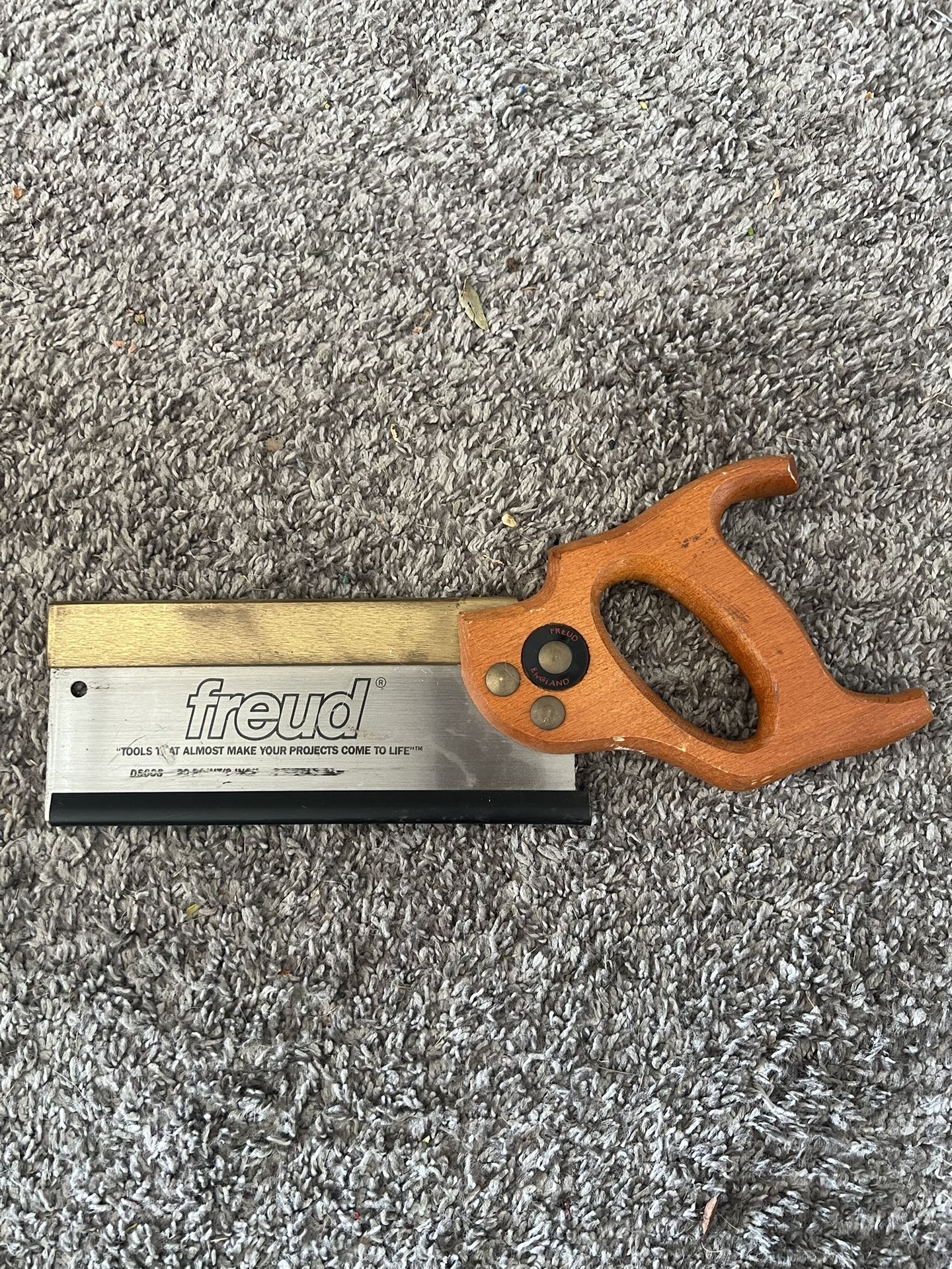 Freud saw