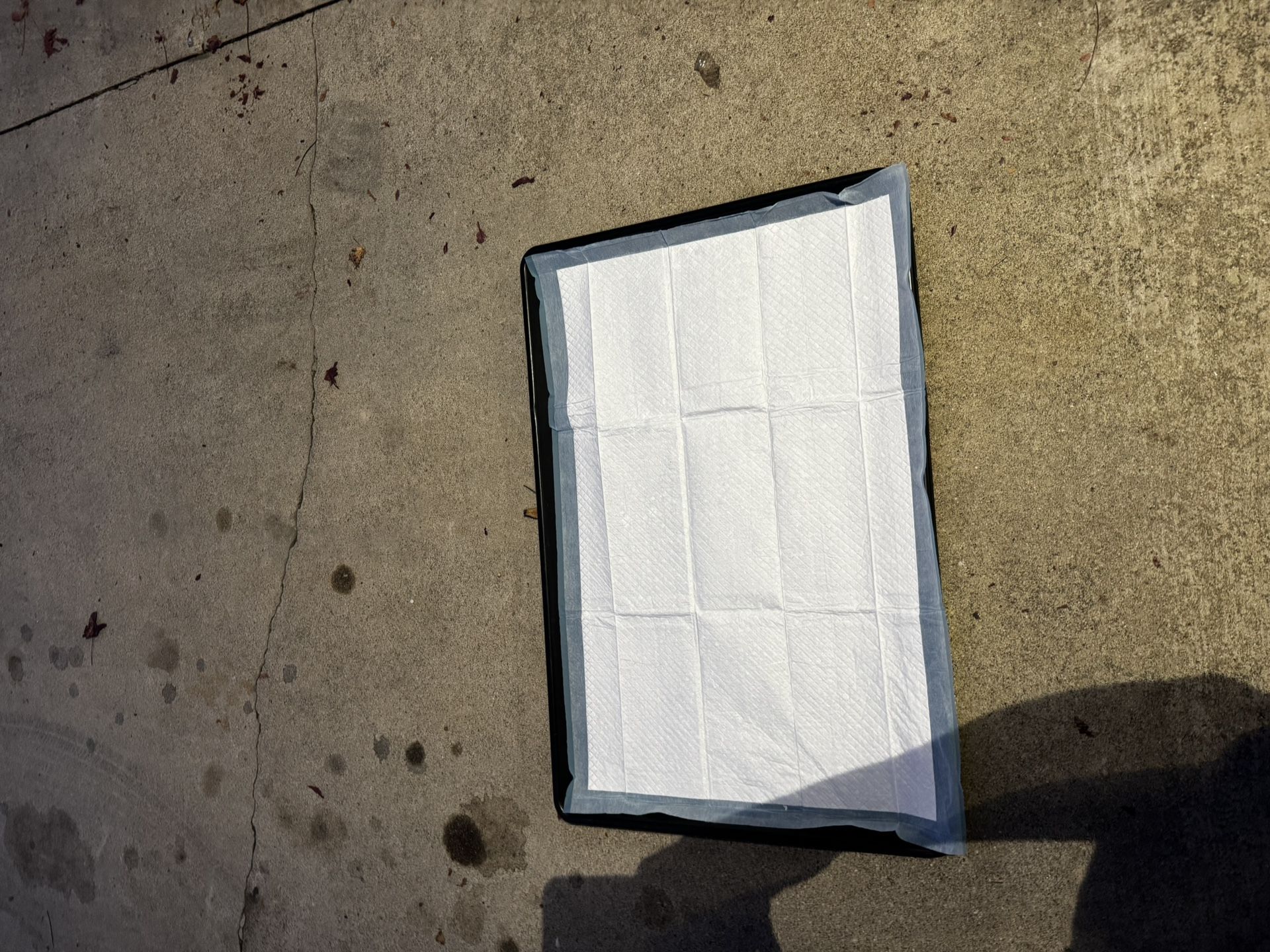 Multifunctional Dog Tray