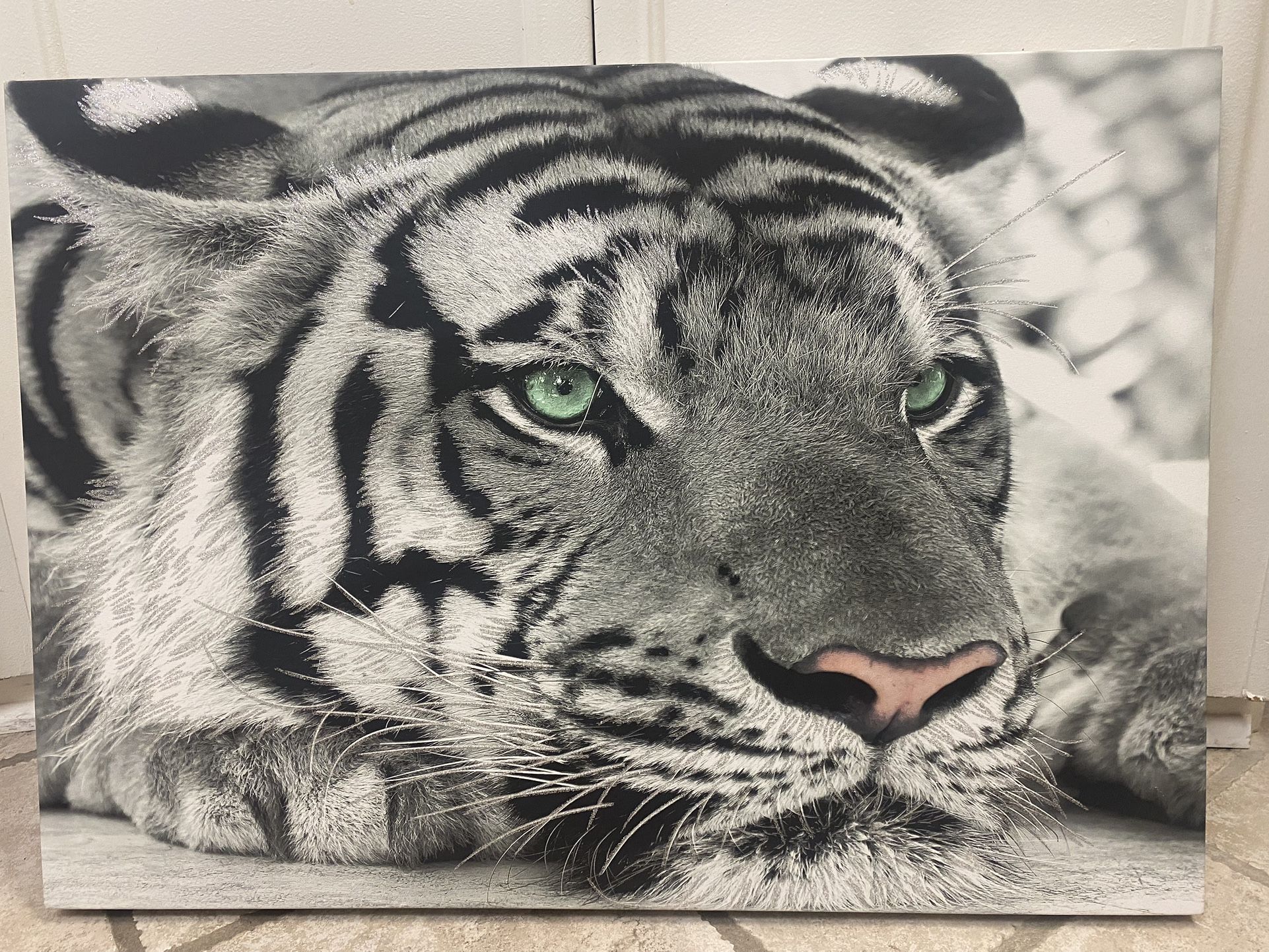 White Tiger Canvas