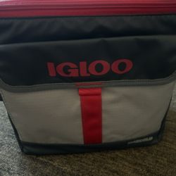 IGLOO Lunch Working