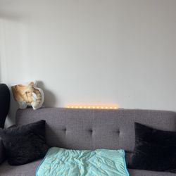 Couch $29
