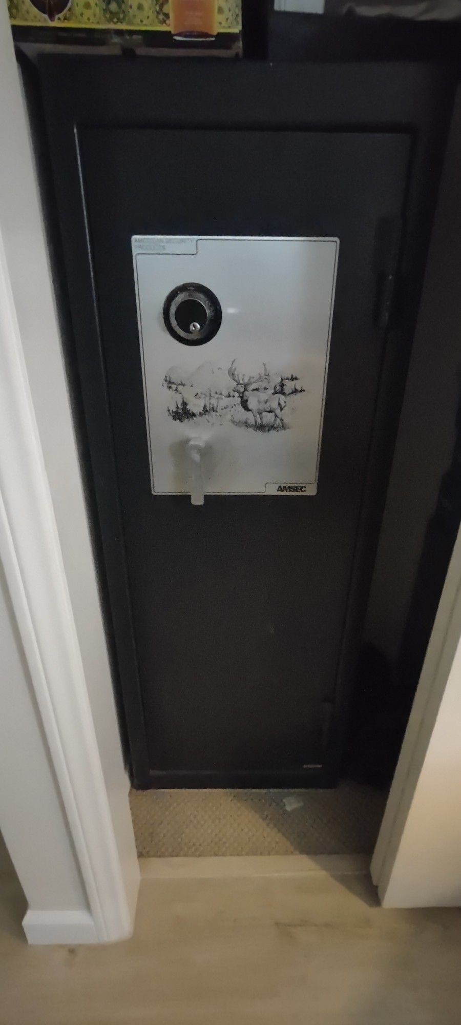 Amsec Gun Safe