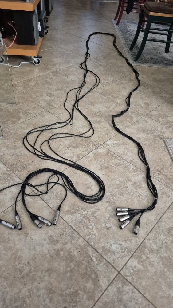 Five XLR cables, 25 foot