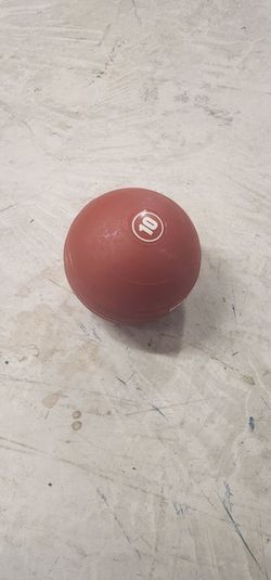 10 lb Rogue Echo Slam Ball