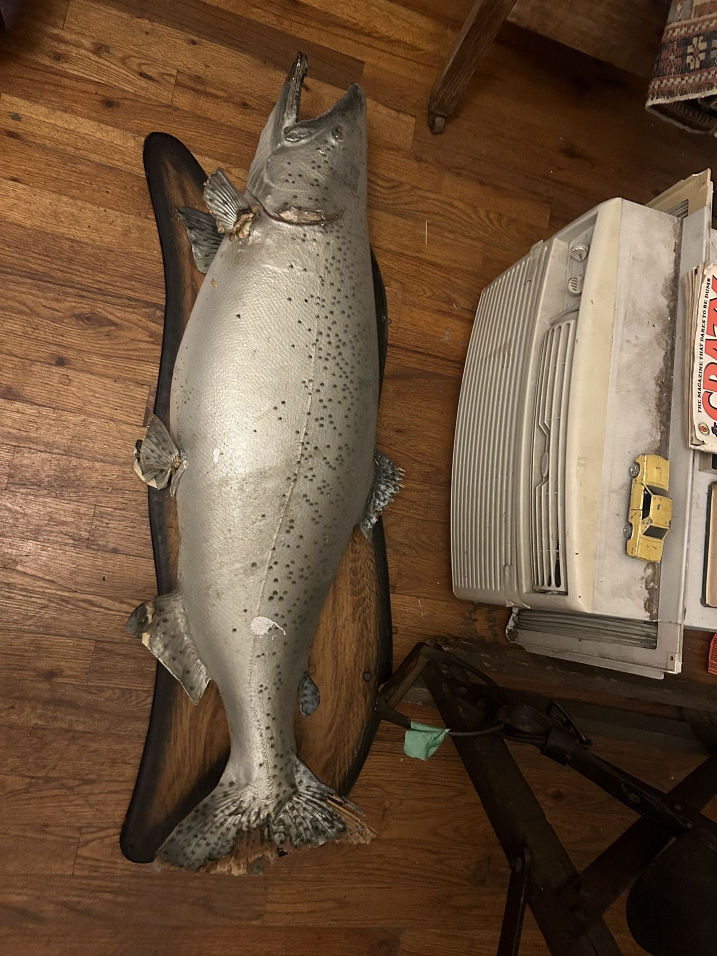 Big Taxidermy Fish