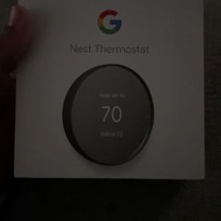 Google Nest Thermostat 