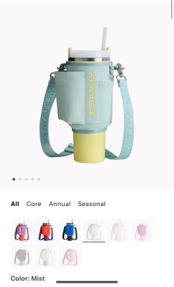 Stanley 40 Oz Quencher Carry-All