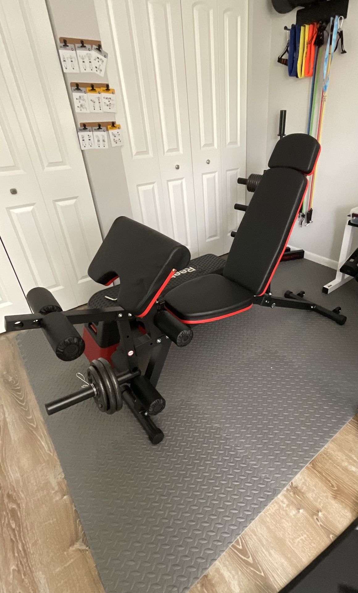 Exercise Bench With Leg Extension