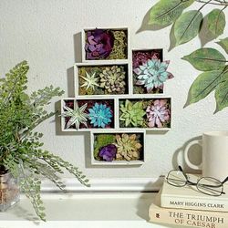 Artisan Watercolored Paper Succulents In Shadow Box Frame 13" x 10" - CASH ONLY,  PICKUP ONLY cactus cacti fake plants faux plants flowers 