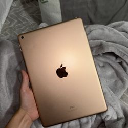 Rose Gold iPad (2019) 7th Gen 
