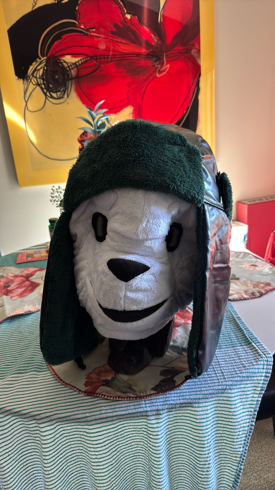 Panda Mask With black Hood