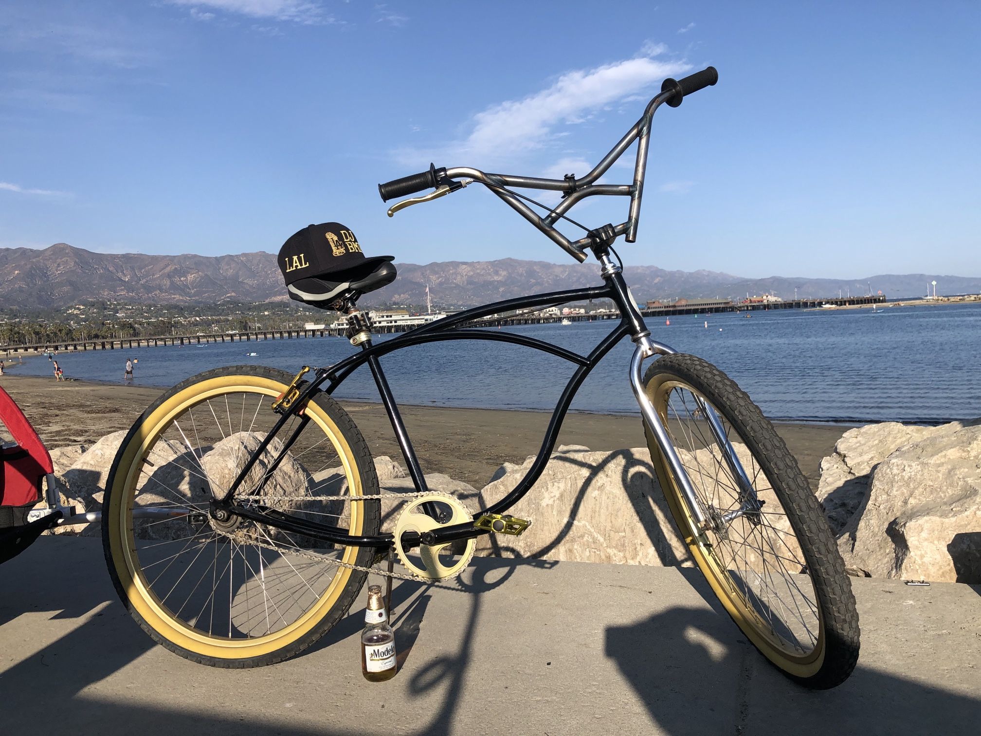 Schwinn Cruiser