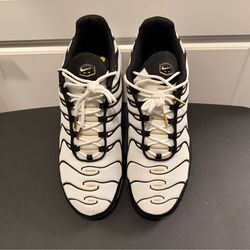 Size 13 air max plus